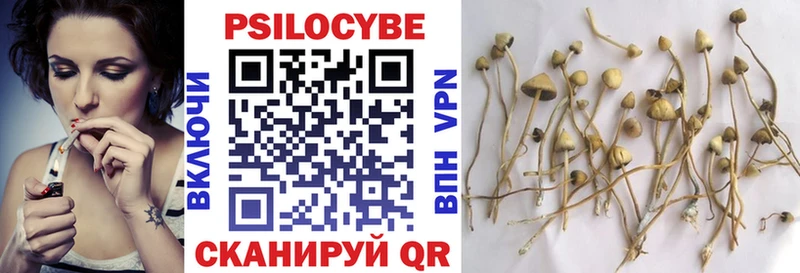 Галлюциногенные грибы Psilocybine cubensis  Богучар 