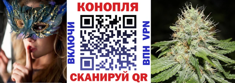 Бошки Шишки марихуана хочу Богучар